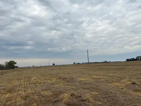 CAMPO DE 27 HECTAREAS en Arrecifes - La Luisa - Provincia de Buenos Aires