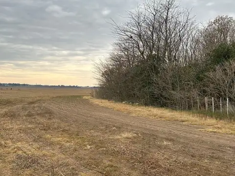 CAMPO DE 27 HECTAREAS en Arrecifes - La Luisa - Provincia de Buenos Aires