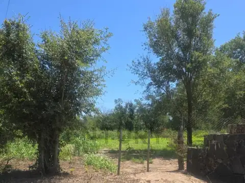 Terreno en Venta de 1680,0 m2