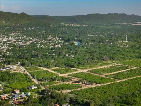 Terreno en Venta de 650,0 m2