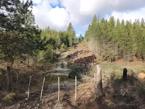 Terreno en Venta en El Bolson, USD 30.000