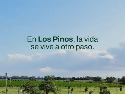 ALVAREZ
