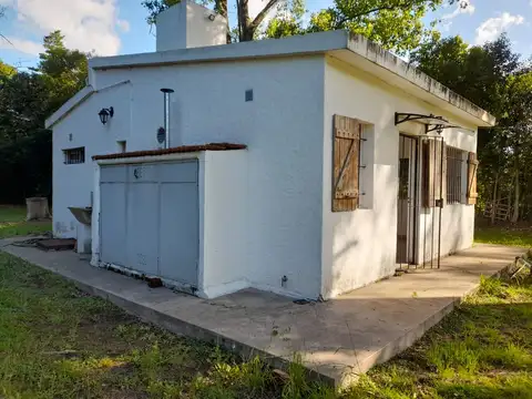 Leónardo Da Vinci 3400