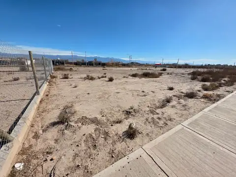 julio Argentino Roca 5500