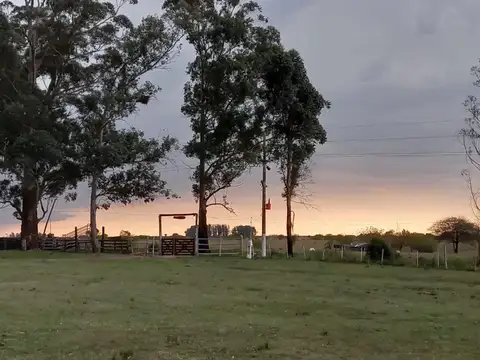 VENDO ESTUPENDA PROPIEDAD DE 7 HECTÁREAS CON TRES VIVIENDAS 