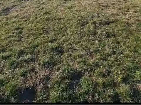 Nev.lote A La Laguna San Sebastian Area 1