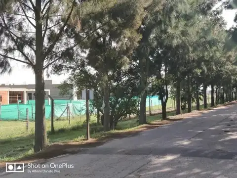 Terreno en Venta 37  mts Fondo