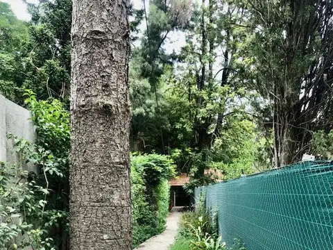 Rodriguez Peña al 2500