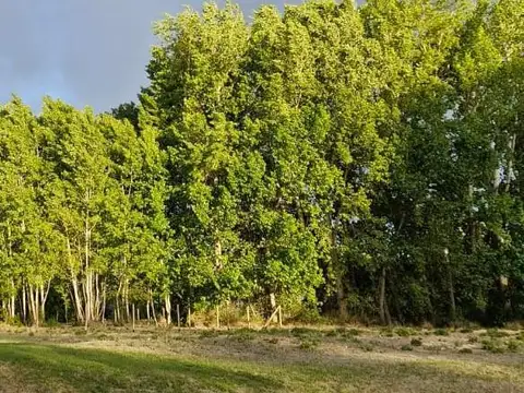 Terreno en Los Canales