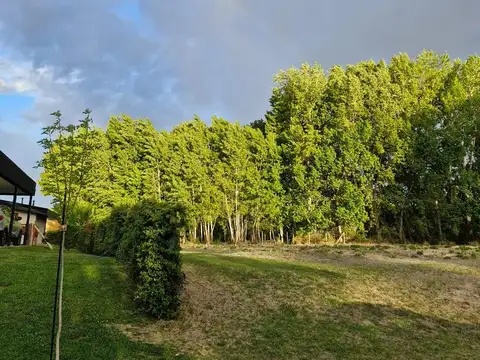 Terreno en Venta en Plottier, USD 40.000