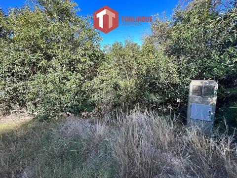 Los Mollares - LOTE 714