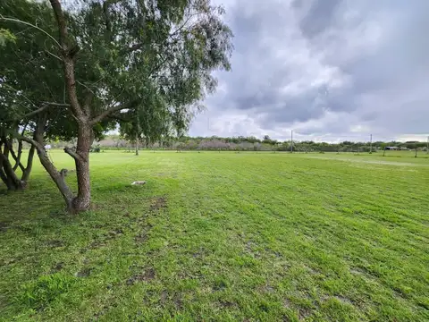 Terreno en oliveros