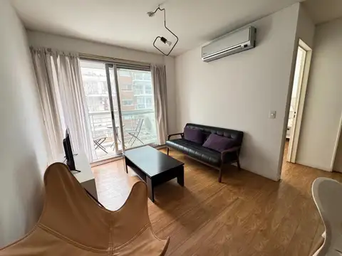 Ortega Y Gasset 1900