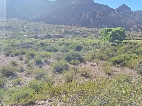 5000m2 a 790m de Ruta 7 Arroyo Uspallata pasa x el Terreno