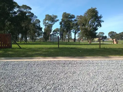 VENTA LOTES BARRIO LA AURELIA