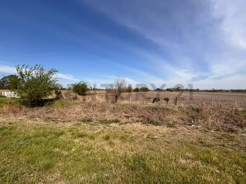 Campo sobre Ruta 34 S
