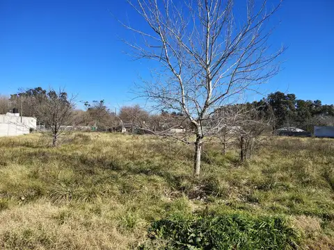 VENTA LOTES SAN VICENTE DOMSEELAR