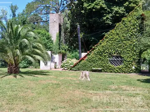 Quinta única en venta en Abasto de 9000 mts con arboleda añeja y amplio terreno. Acepta Financiación