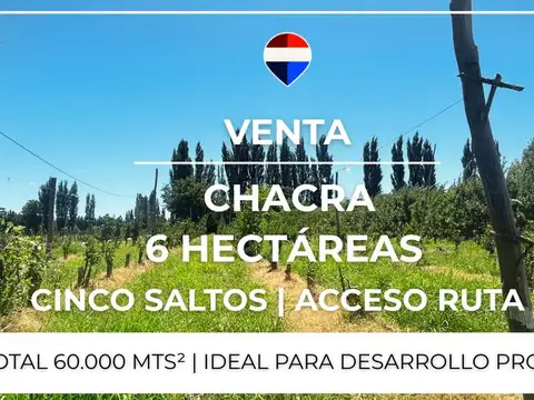 VENTA CHACRA 6 HAS - CINCO SALTOS