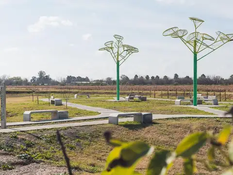 Terreno en Venta 28  mts Fondo