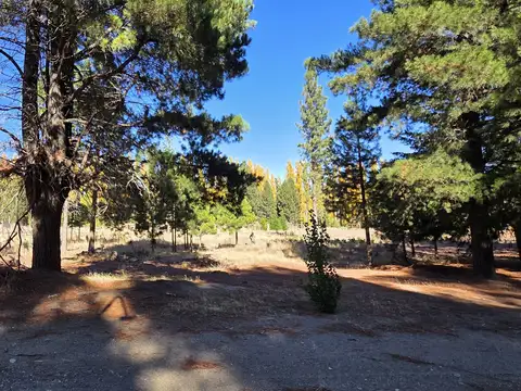 Terrenos y Lotes en Venta en Dina Huapi [Cod: 2982]