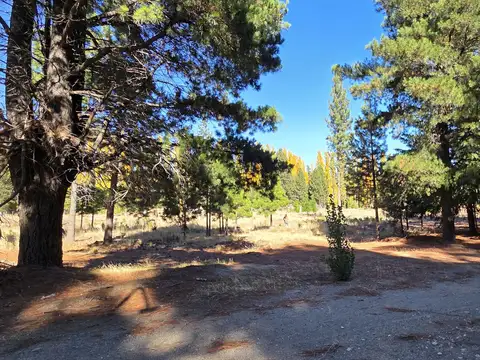 Terreno en Venta en Dina Huapi, USD 30.000