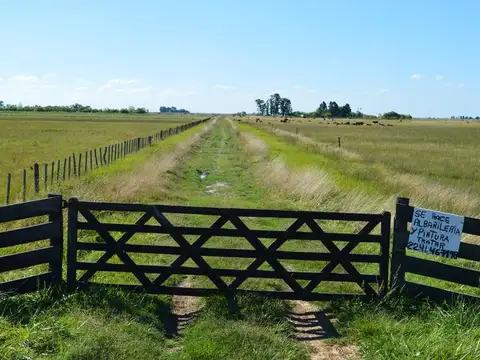 Campo en Venta en Jose Ferrari, Partido de Magdalena