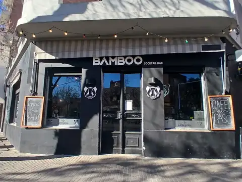 Pueyrredón 300