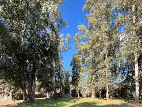 Terreno Estancia La Negrita 100