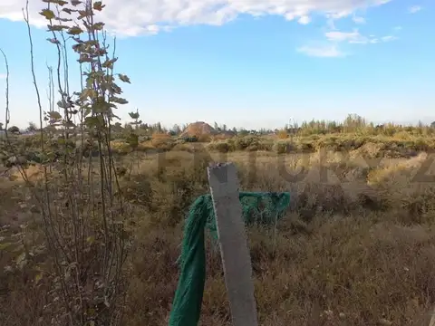 LOTE EN VENTA CORRALITOS MENDOZA