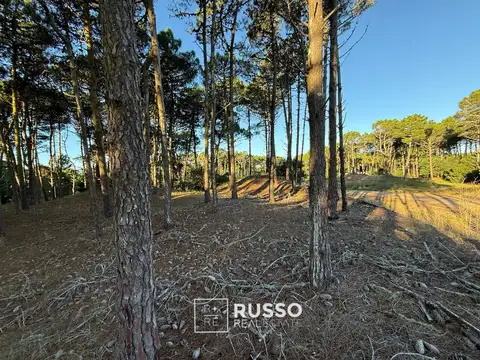 LOTE EN VENTA | BOSQUES PINAMAR | BARRIO TAMARISCO