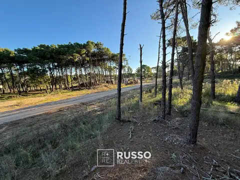 Terreno en Venta en Pinamar, USD 117.000