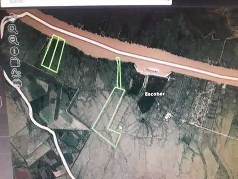 PARANA DE LAS PALMAS 100
