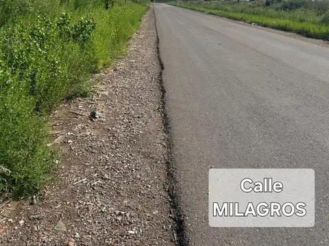 Milagros s/n - Colonia Molina