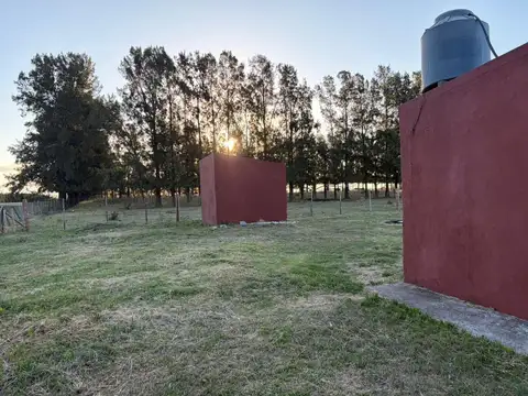 Casa en Alquiler 66 años