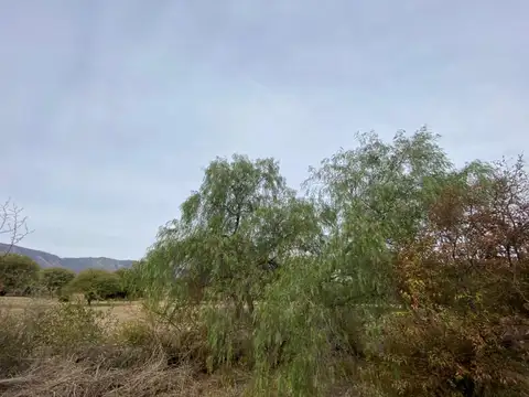 Terreno en Venta de 806,0 m2