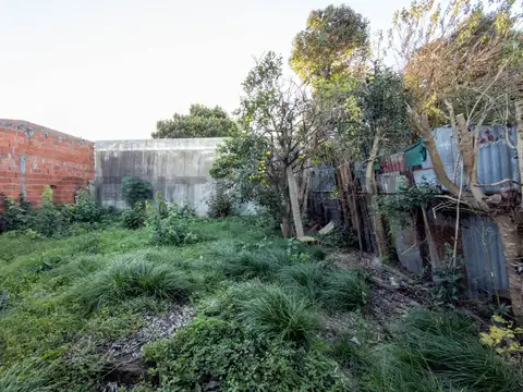 Calle 89 entre 12 y 13 800, Piso 0