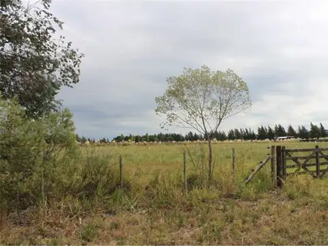 Terreno en Venta en Country Club Los Cardales, USD 58.000