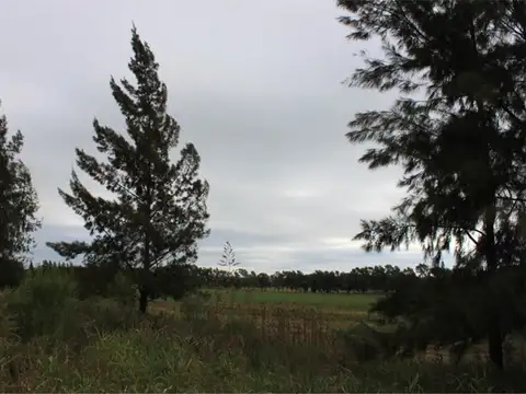 Terreno en Venta en Country Club Los Cardales, USD 58.000