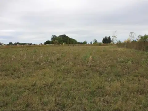 RUTA 4, KM 5,2 100