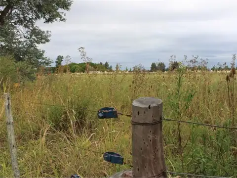 Terreno en Venta de 4187,0 m2