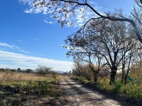 Terreno en Venta de 438,0 m2
