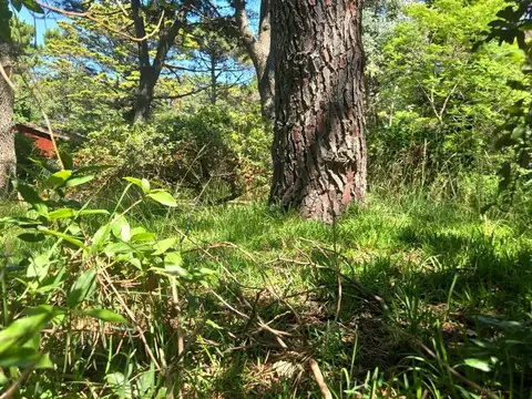 Terreno en Venta de 506,0 m2