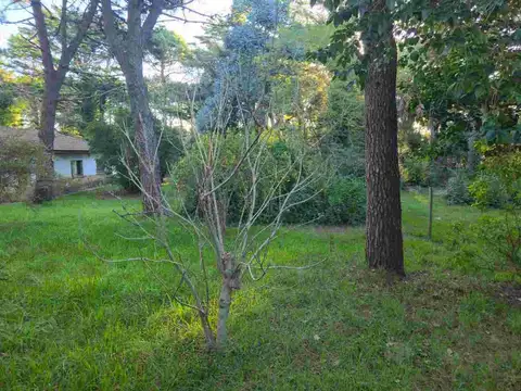 Terreno en Venta de 506,0 m2