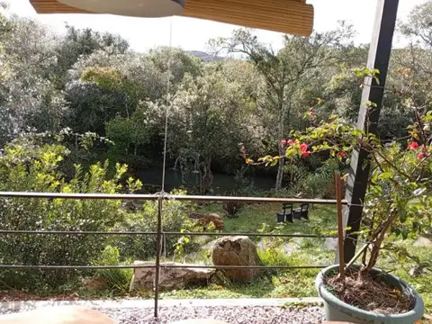 Corte de la leña