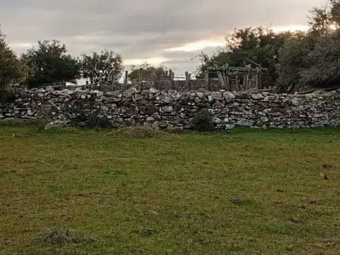 Hermosa Chacra en venta en San Carlos, Uruguay