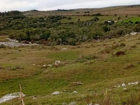 Corte de la leña