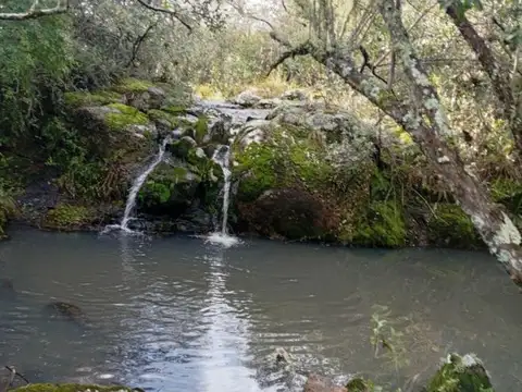Hermosa Chacra en venta en San Carlos, Uruguay