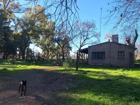 Casa en un gran terreno, con galpón en B. Las Moras