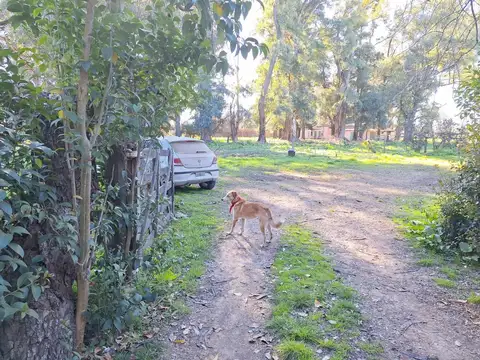 Ruta 5 Y Colectora Sur